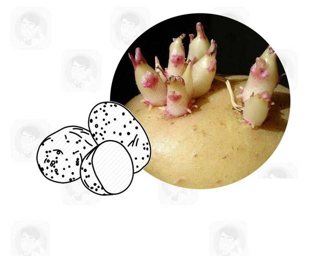 这些癌症的真凶终于找到了?提醒：4种食物最好撤下餐桌